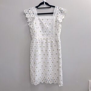 Speechless Short Flutter Sleeve Party Special Occasion Floral Lace Dress